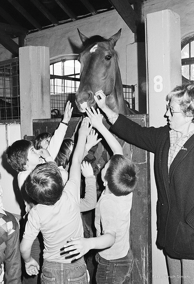 Stallvisite