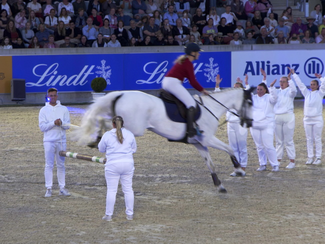 Pferd und Sinfonie 2024