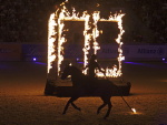 Pferd und Sinfonie