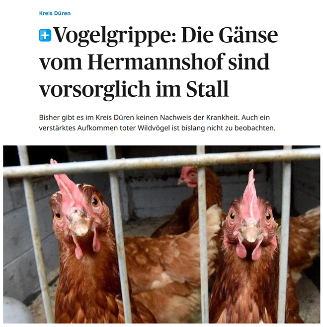 Keine Gaense