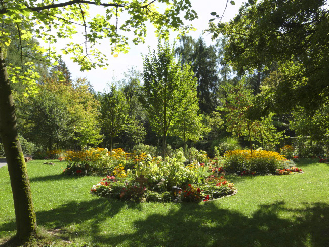 Waldfriedhof Baumwahlgräber