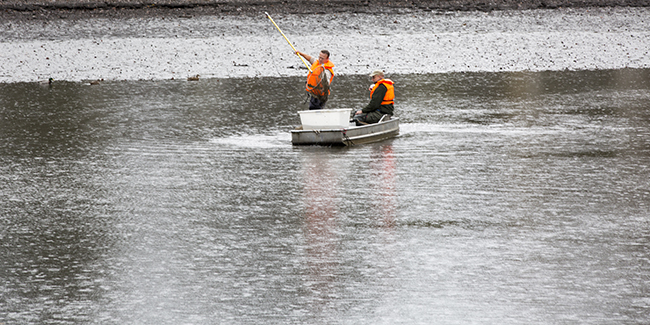 Ulrich Simons - Hangeweiher Abfischen