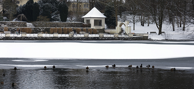 Enten auf dem zugefrorenen Hangeweiher