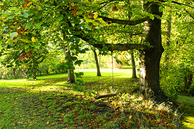 Kloster Preusweg Garten