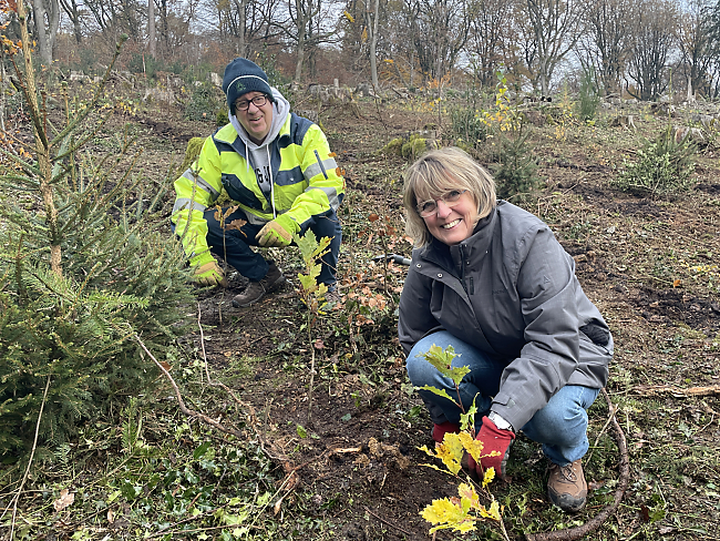 Pflanzaktion im Aachener Wald
