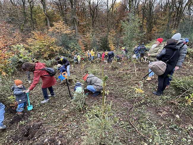 Pflanzaktion Aachener Wald