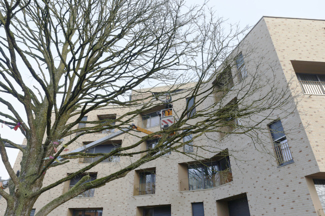 F&auml;llung Baumhasel Hohenstaufenallee